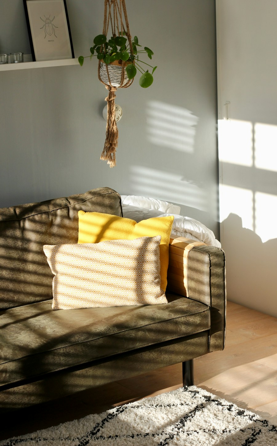 Olijfgroene bank in warm zonlicht, ter inspiratie